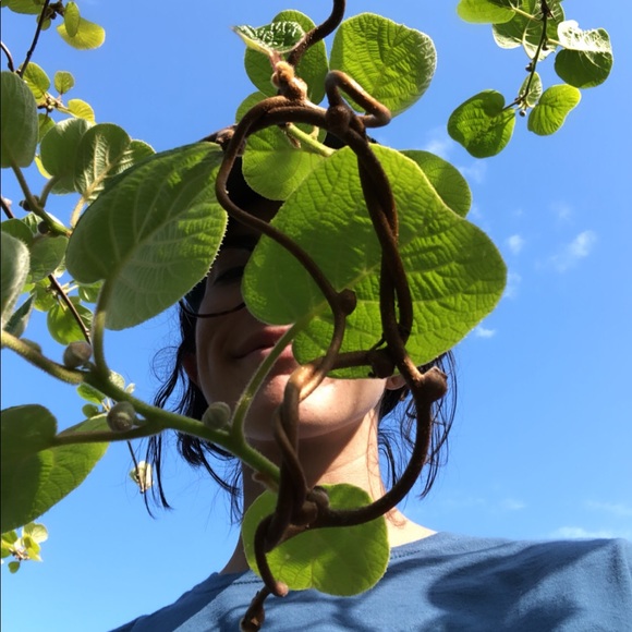 Meet your Posher, Silvia - Picture 1 of 2